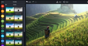 5 Cara Mengganti Background Foto di HP Tanpa Aplikasi Dengan Mudah 5 Pizap.com