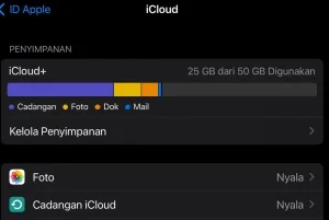 4 Cara Hapus Data Aplikasi di iPhone Paling Mudah dan Cepat 3 Cara hapus data aplikasi di iPhone melalui iCloud