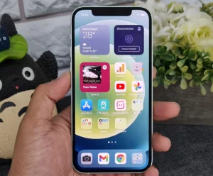 4 Cara Hapus Data Aplikasi di iPhone Paling Mudah dan Cepat 5 Cara hapus data aplikasi di iPhone dari aplikasi