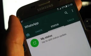 Cara Download Status WA Tanpa Aplikasi Anti Ribet dan Mudah 1 Cara Download Status WA Tanpa Aplikasi