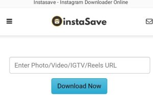 Melalui InstaSave