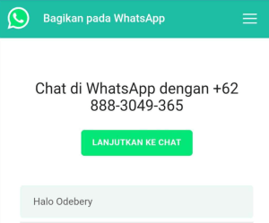 Cara membuat link whatsapp tanpa simpan nomor di web