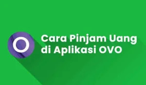 Cara Pinjam Uang di Aplikasi OVO