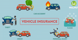 Find the Best Price for Car Insurance in Florida 2 What is car insurance?