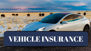 Car Insurance Quotes Salt Lake City