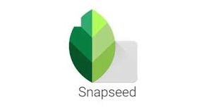 Aplikasi Edit Foto Terbaik di HP Android dan iOS Terbaru 4 Snapseed