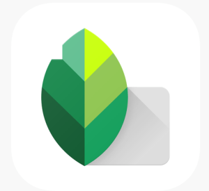 Aplikasi Edit Gambar di Android Maupun IOS Terbaru 6 Snapseed