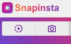 3 Cara Download Video Instagram Tanpa Aplikasi Mudah dan Cepat 2 Download Video Instagram Tanpa Aplikasi - Snap Insta