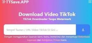 Cara Download Video Tiktok Tanpa Watermark Tanpa Aplikasi dengan Mudah 5 Download Video dengan situs TTsave