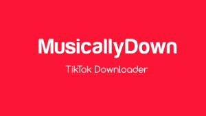 4 Cara Mudah Download Video Tiktok Tanpa Watermark Tanpa Aplikasi Terbaru 4 Download Video Tiktok Mp3: Musicaldown