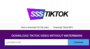Bagaimana Cara Download Video Tiktok Tanpa Watermark Tanpa Aplikasi Gratis 2 Unduh Gratis Lewat PC