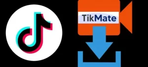 Begini Cara Download Video Tiktok Tanpa Aplikasi Terbaru 2 TikMate.App