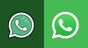 Download Aplikasi FM Whatsapp Terbaru Anti Banned 5 Perbedaan FMWhatsApp vs WhatsApp Original