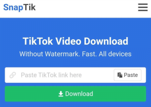 7 Aplikasi Download Tiktok Tanpa Watermark Terbaru Gratis 2 SnapTik