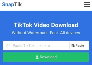 7 Aplikasi Download Tiktok Tanpa Watermark Terbaru Gratis 2 SnapTik