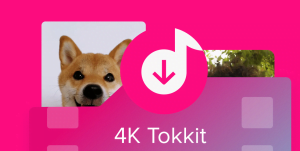 7 Aplikasi Download Tiktok Tanpa Watermark Terbaru Gratis 6 4 Tokkit