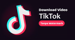 Download Aplikasi Tiktok Tanpa Watermark