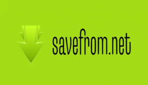 Download TikTok Tanpa Watermark atau Logo di Savefrom.net