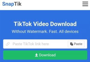 Download Video TikTok di SnapTik