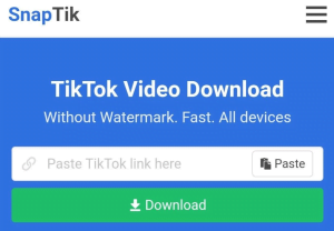 Cara Download Aplikasi Tiktok Tanpa Watermark di Jamin Mudah 3 Download Video TikTok di SnapTik