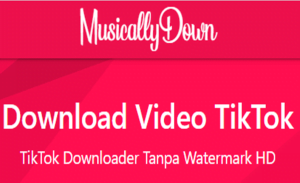 Download Video TikTok di Musically Down