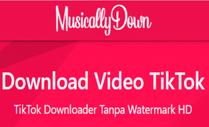 Cara Download Aplikasi Tiktok Tanpa Watermark di Jamin Mudah 5 Download Video TikTok di Musically Down