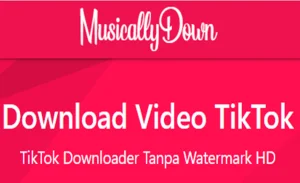 Cara Download Aplikasi Tiktok Tanpa Watermark di Jamin Mudah 5 Download Video TikTok di Musically Down
