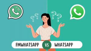 Download Aplikasi FMWhatsApp Terbaru Untuk Android 4 Perbandingan WhatsApp dan WhatsApp FM APK