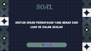 Urutan Organ Pernapasan yang Benar dari Luar ke Dalam