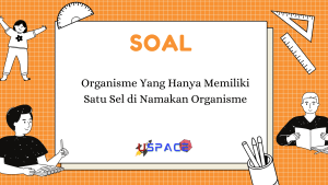 Organisme yang Hanya Memiliki Satu Sel 1 Organisme yang Hanya Memiliki Satu Sel