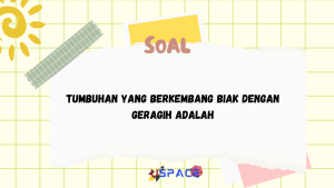 Tumbuhan yang Berkembang Biak dengan Geragih