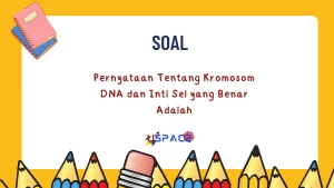 Kromosom DNA dan Inti Sel