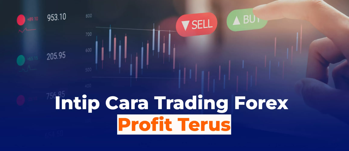 Trading Forex Profit