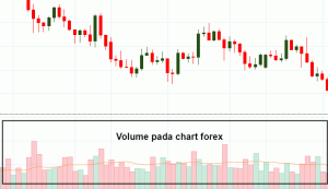 Indikator Volume Forex