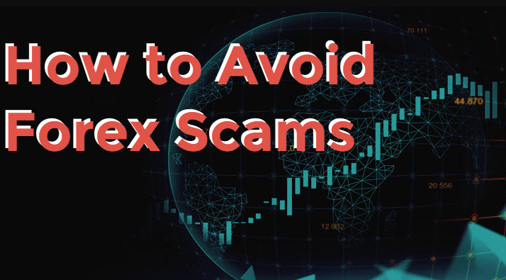 Forex Paradise Scam