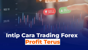 Cara Trading Forex Selalu Profit