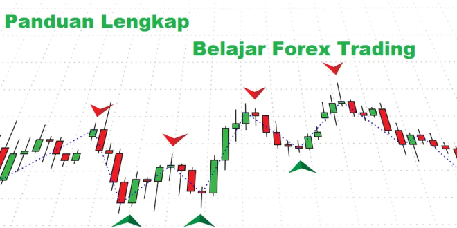 Panduan Trading Forex