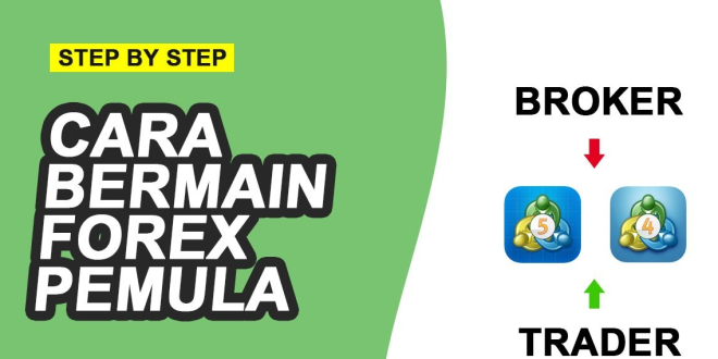 Cara Main Forex untuk Pemula