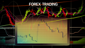 Forex Trader