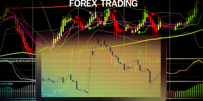 Forex Trader