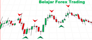 Belajar Trading Forex untuk Pemula
