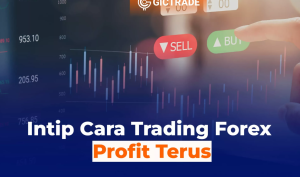 Cara Mudah Profit dalam Trading Forex