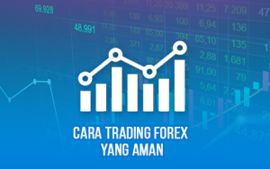 Cara Trading Forex yang Aman