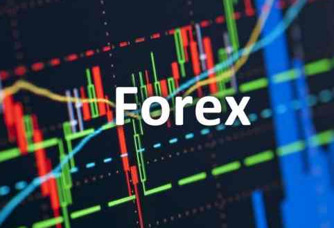 Melakukan Review Trading Forex