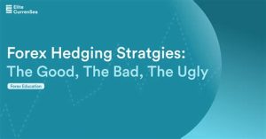 Navigating Volatility: A Guide to Forex Hedging Strategy 1 Forex Hedging Strategy