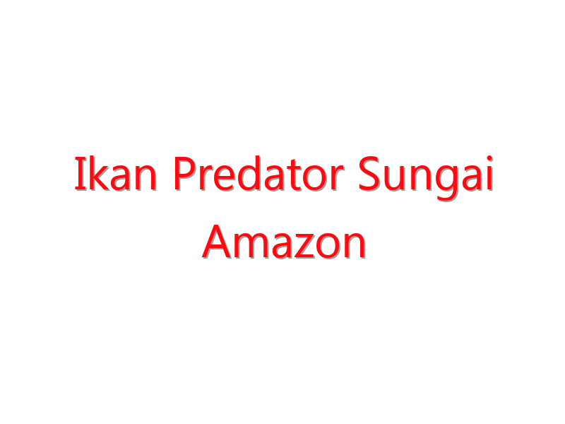 ikan predator sungai amazon 19382