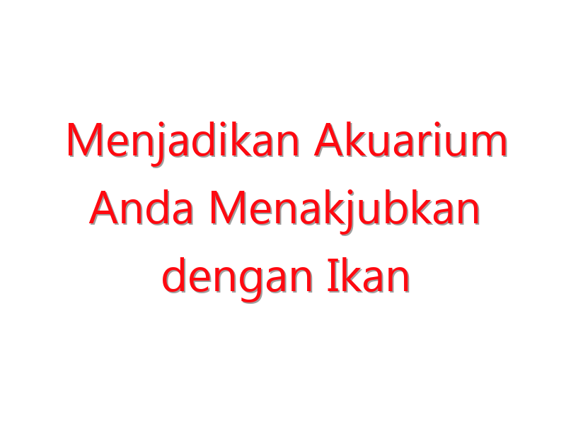 Menjadikan Akuarium Anda Menakjubkan dengan Ikan Layang Hias