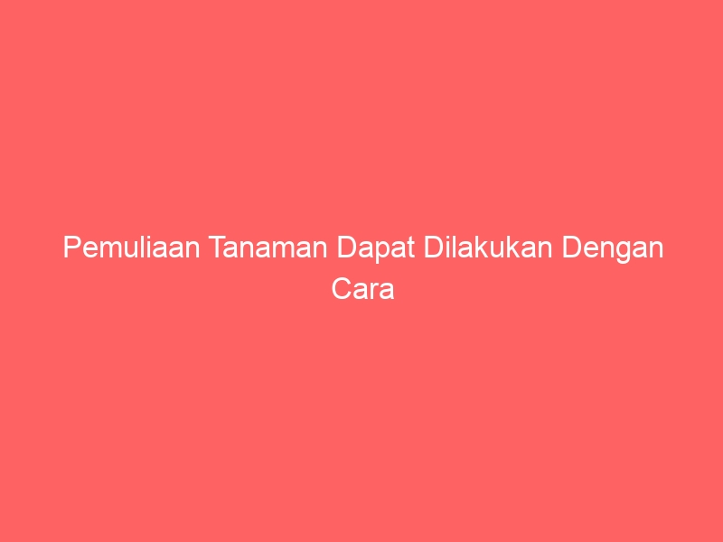 Pemuliaan Tanaman: Mendobrak Batas Genetik untuk Ketahanan Pangan dan Kualitas Unggul