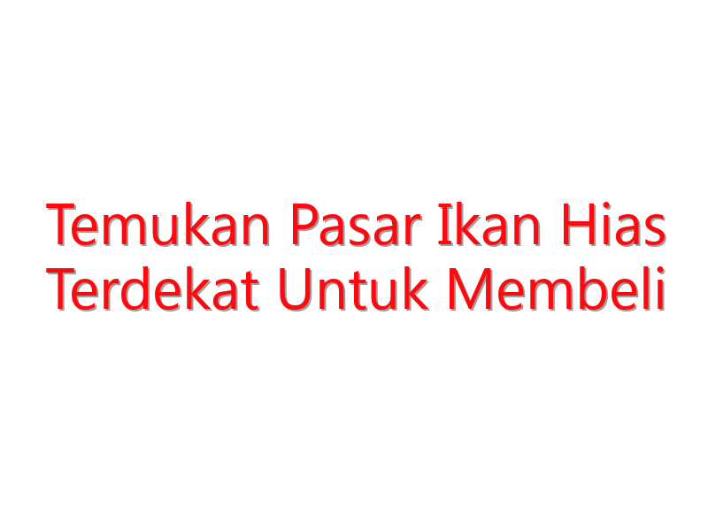 temukan pasar ikan hias terdekat untuk membeli ikan impian anda 19384