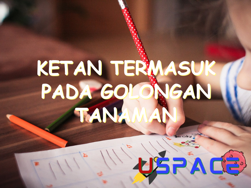 Ketan Termasuk Pada Golongan Tanaman Uspace.id